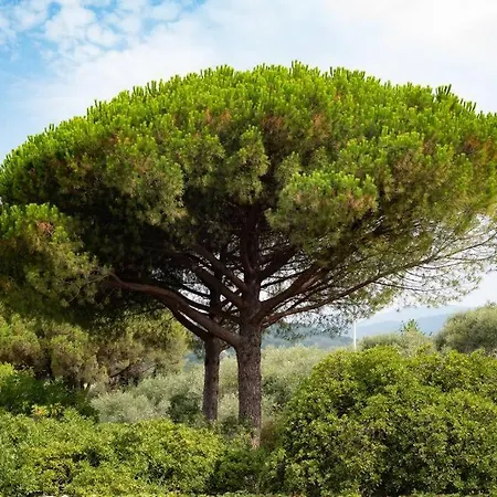 Smeralda - Italian Luxury Apt Overlooking Bay Of Portofino * Lavagna